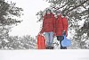 Girls with sledges on a snowy day