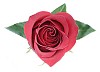 Red rose shaped as a heart