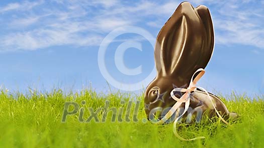 Chocolate easter bunny in the grass
