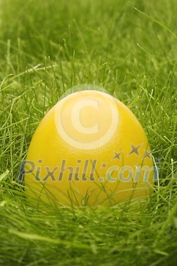 Yellow easter egg in the grass Yellow easter egg in the grass