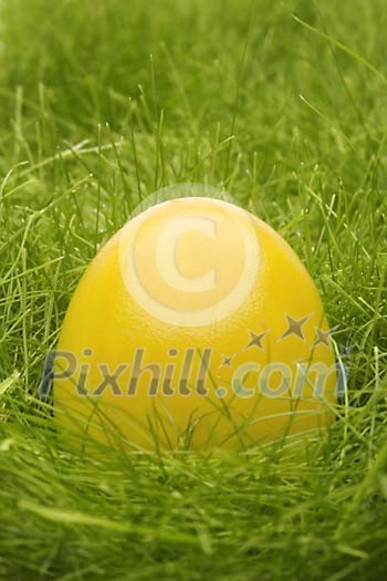 Yellow easter egg in the grass