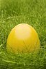 Yellow easter egg in the grass