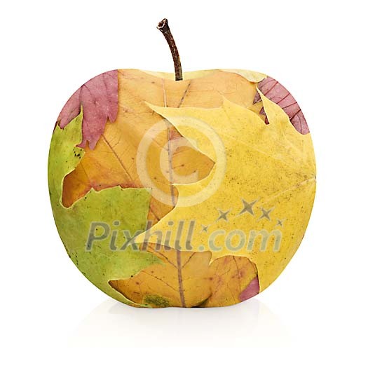 Isolated apple made of maple leaves Isolated apple made of maple leaves