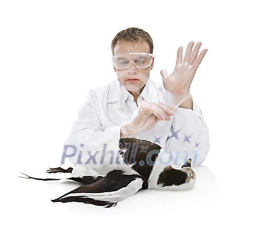 People Stock Images with clipping path People Stock Images with clipping path