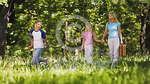 Online Leisure Stock Subscription Online Leisure Stock Subscription