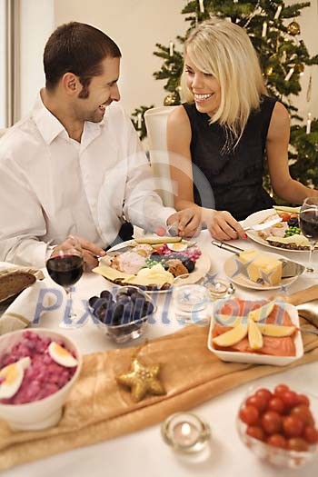 Couple enjoying a delicious christmas dinner Couple enjoying a delicious christmas dinner