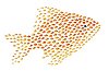Many goldfish swim together in shape of one huge fish