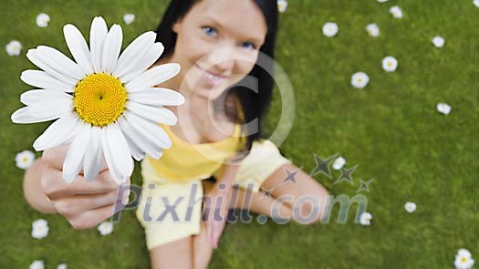 Girl handing a daisy up to camera