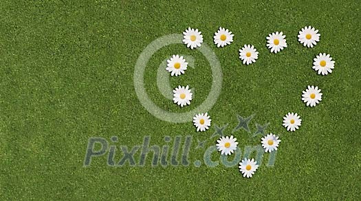 Heart from daisies on grass
