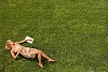 Young woman lying on lawn with a novel