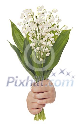 Small hands handing over a bouquet of flowers