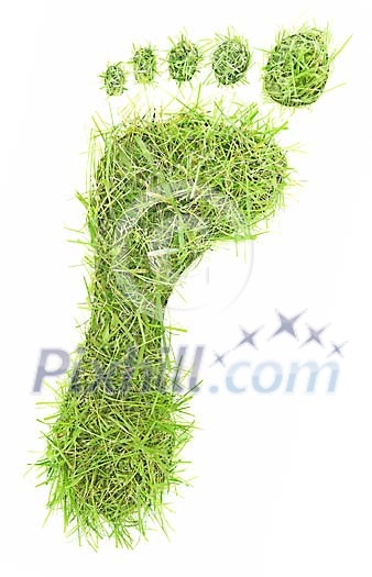 Green grass footprint on white Green grass footprint on white