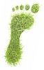 Green grass footprint on white