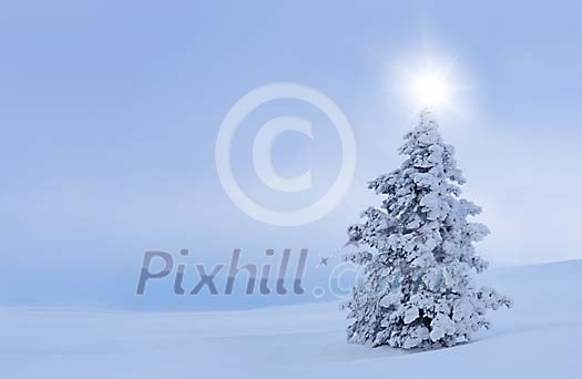 Christmas tree with a sun as a star Christmas tree with a sun as a star