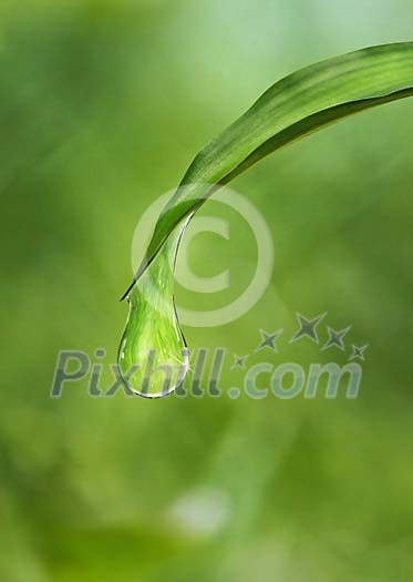 Waterdrop ready fall Waterdrop ready fall