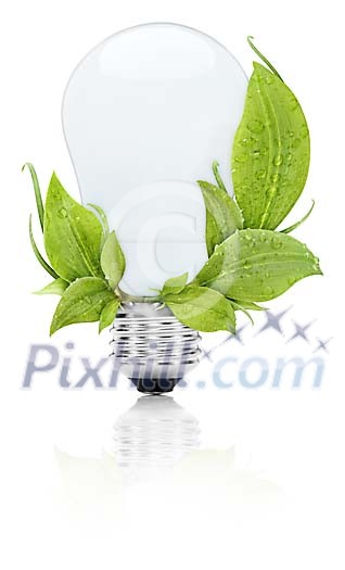Lamp with leaves
