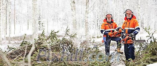 Two lumberjacks in a forest panorama