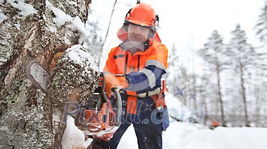 Lumberjack at work