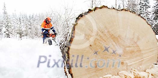 Man working as a lumberjack