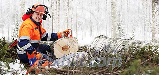 Man cutting logs