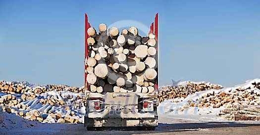 Truck loaded with logs