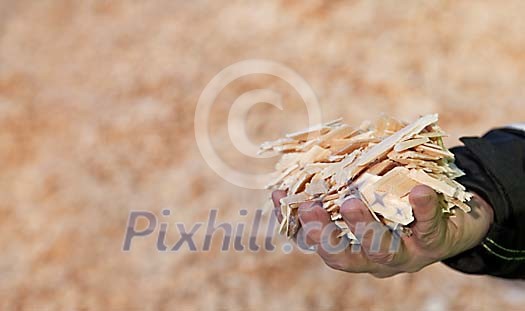 Man holding woodchips