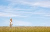 Beautiful woman walking alone in a summery field