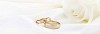 Wedding rings on white satin