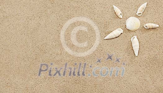 Sun made of seashells on the sand Sun made of seashells on the sand