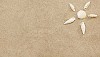 Sun made of seashells on the sand