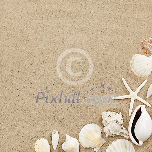 Corner frame made of seashells