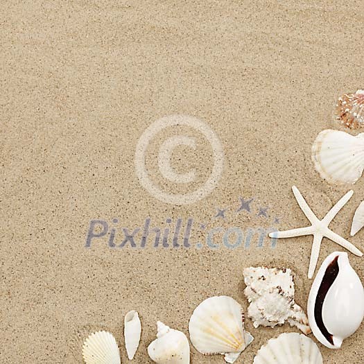 Corner frame made of seashells Corner frame made of seashells