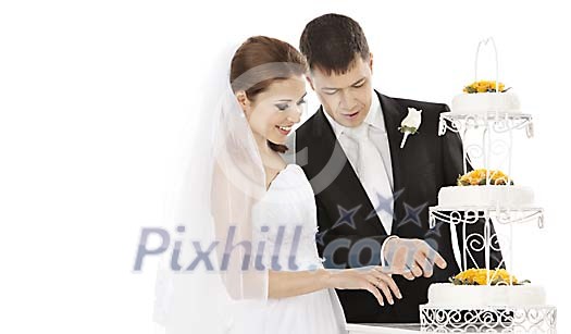 Wedding couple looking at the wedding cake