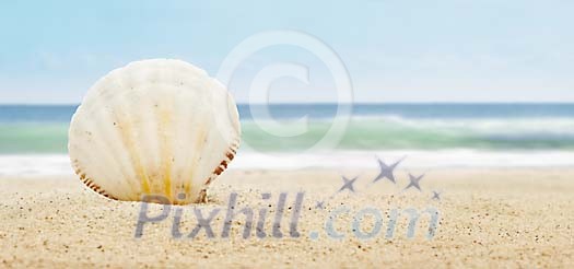 Holiday background with beach and shell Holiday background with beach and shell