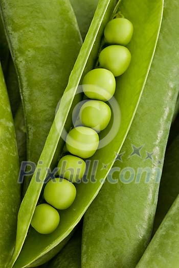 Opened pea pod closeup