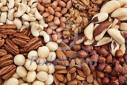 Eight different sort of nuts Eight different sort of nuts