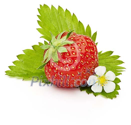Fresh Strawberry on green leaves