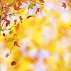 Bright autumn background