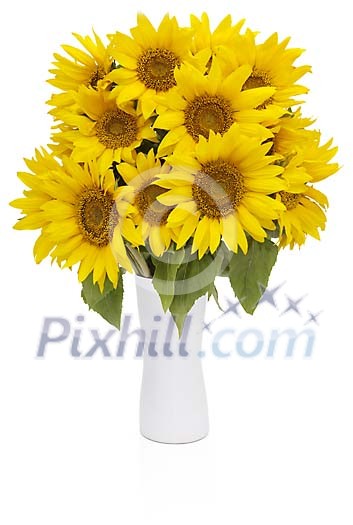 Sunflowers in a vase with clipping path