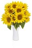 Sunflowers in a vase with clipping path