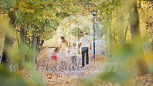 Family walking in the park