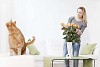 Woman putting roses into the vase and cat looking