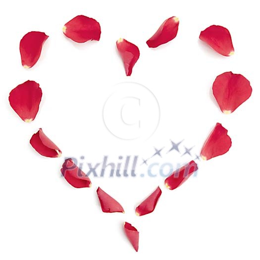 Clipped heart of rose petals