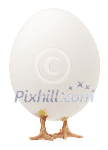 Clipped white easter egg with chick legs Clipped white easter egg with chick legs