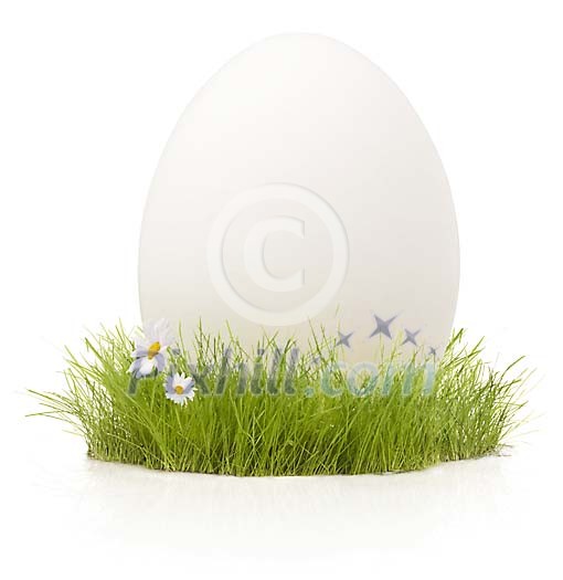 White easter egg on a grass