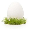 White easter egg on a grass