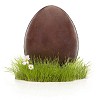 Easter chocolate egg on the grass