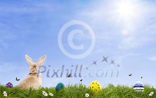 Bunny with easter eggs on a grass Bunny with easter eggs on a grass