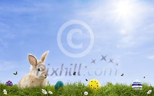 Cute bunny with easter eggs on the grass
