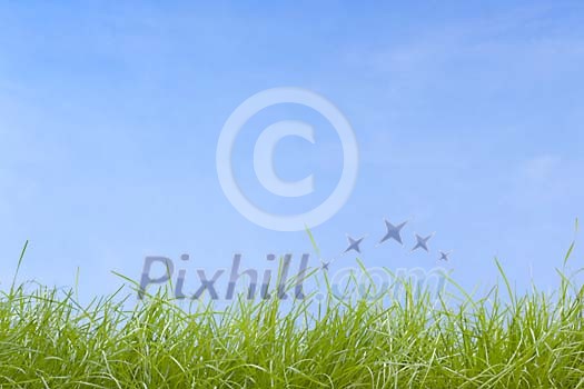 Green grass under blue sky